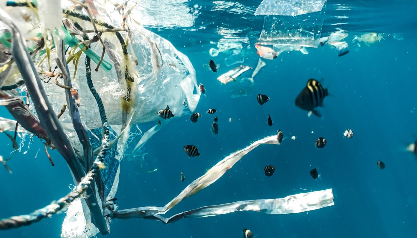 plastik forurener i havet