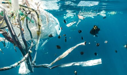 plastik forurener i havet