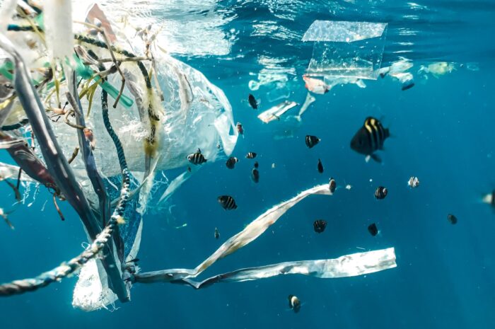 Grøn emballage og plast