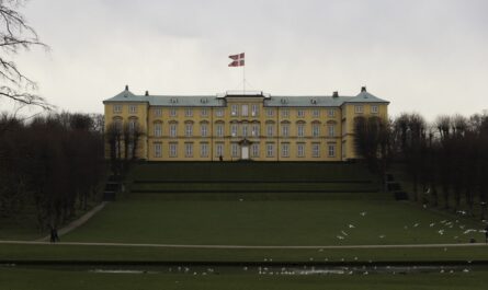 White Birds Flying IN Front of Frederiksberg Palace